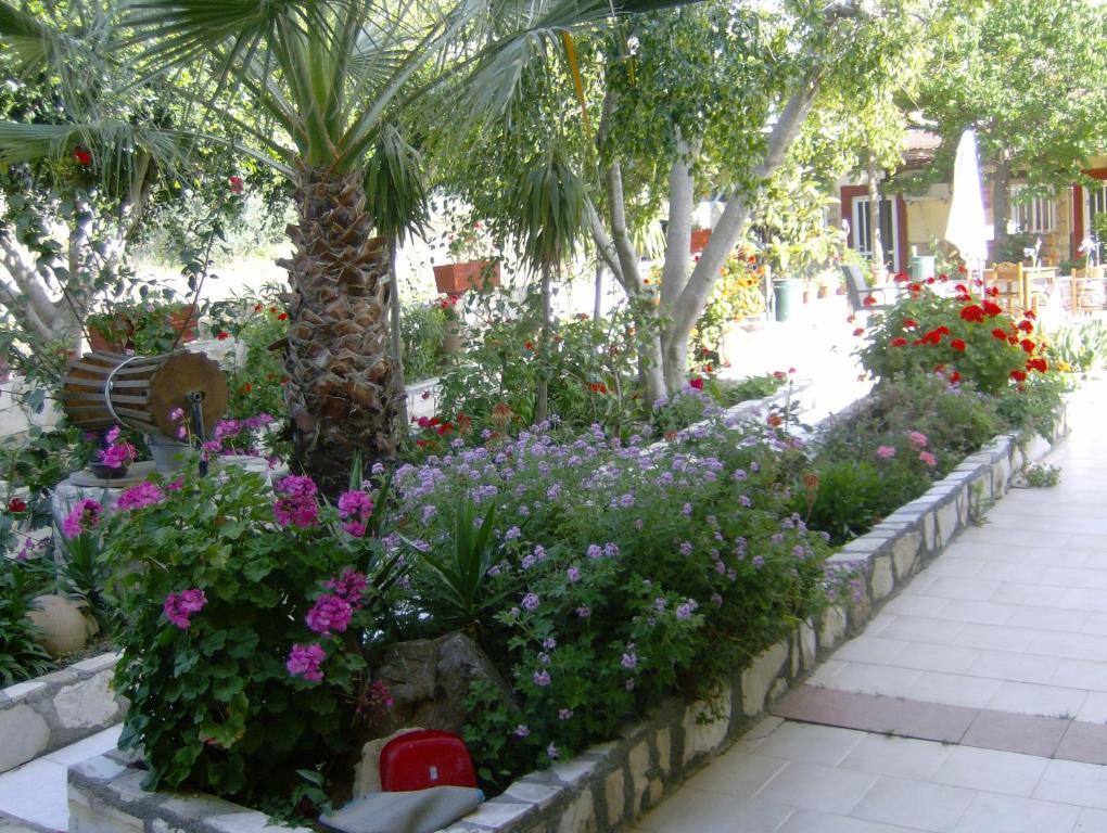 Villa Costas - Popi Sívas المظهر الخارجي الصورة